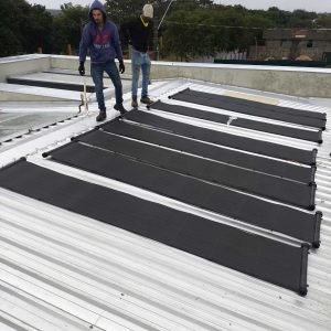 FELIPE TOQUETON TRENTIN